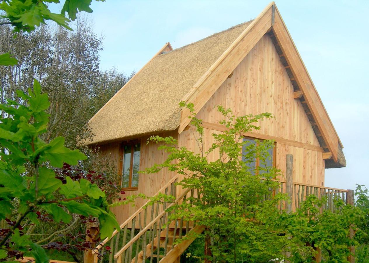 Chambres D'Hotes Le Nid D'Iroise Lanildut 외부 사진
